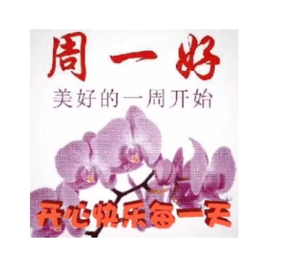 祝大家新的一周一切顺心如意🌹