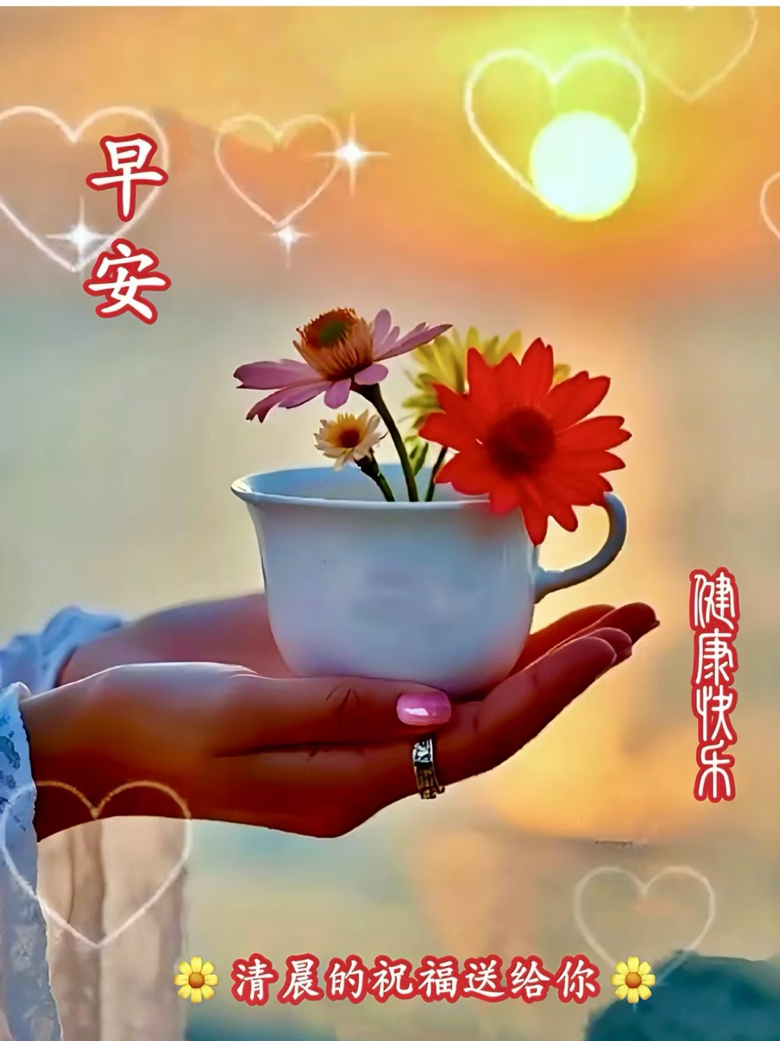 年青要潇洒，老了要优雅，老而无忧庭晚年
