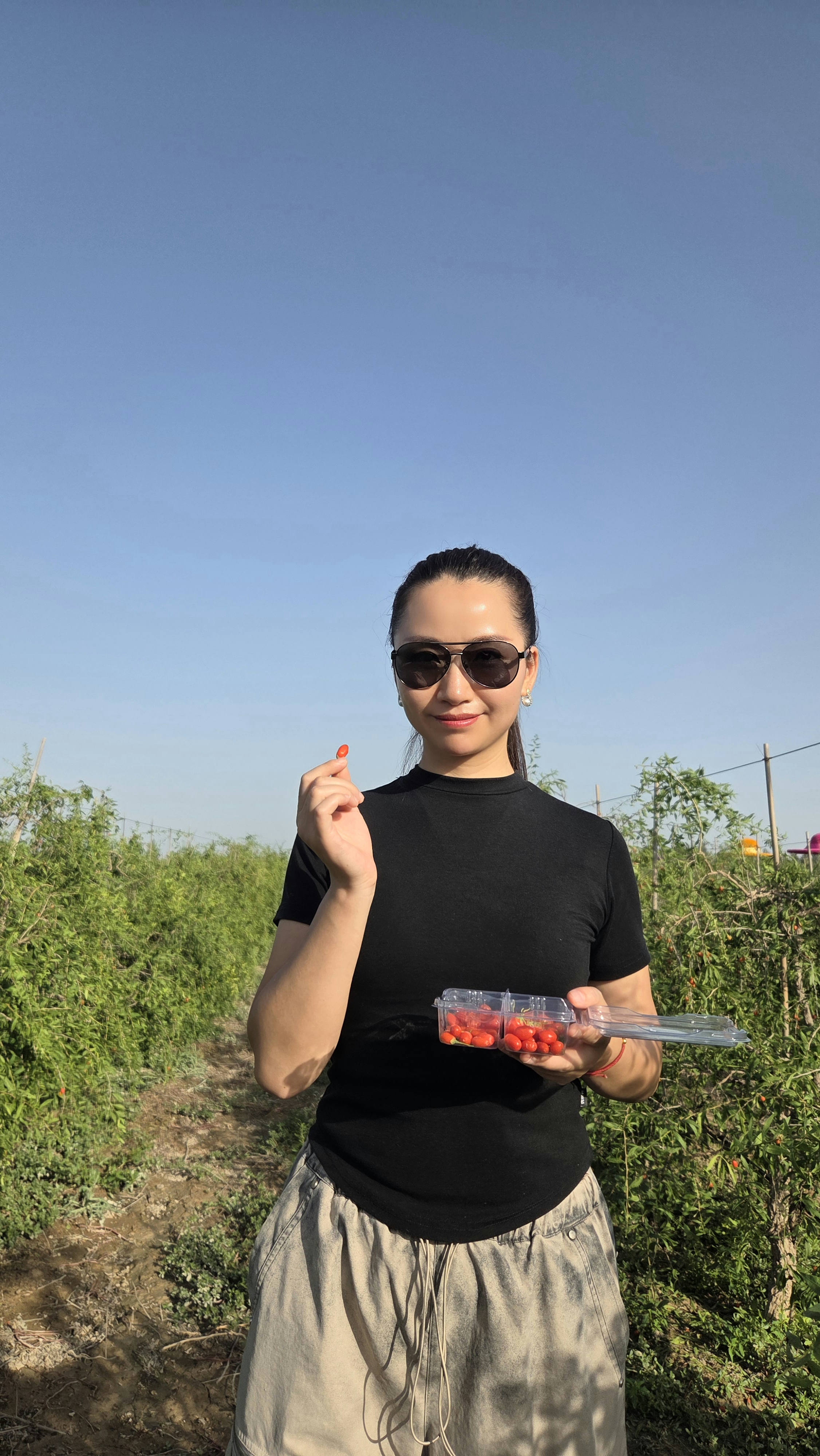 逃离城市喧嚣，一头扎进枸杞庄园的绿意里。弯腰摘果，抬头见蓝，简单的快乐，就藏在这颗颗红玛瑙中～