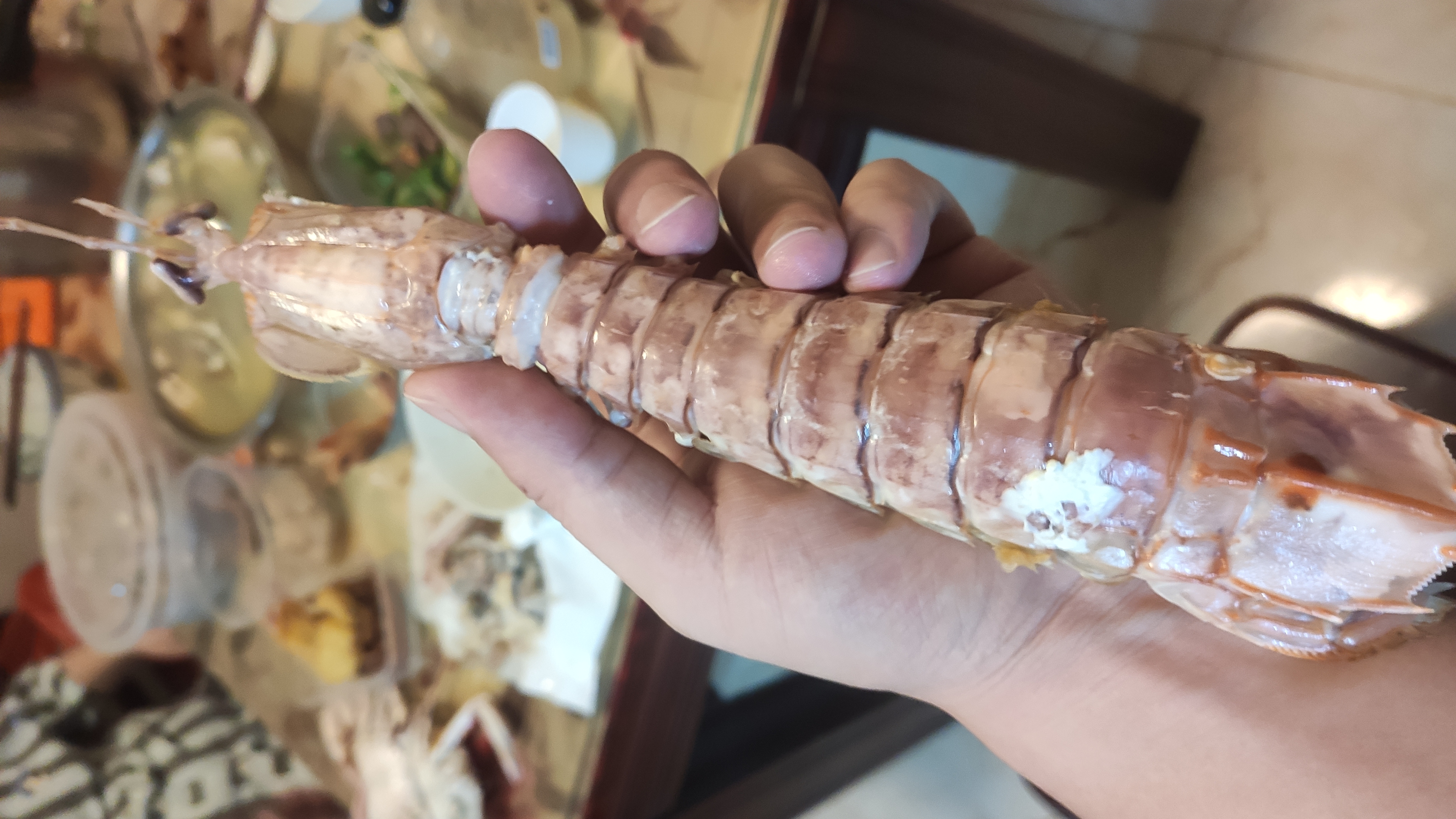 皮皮虾