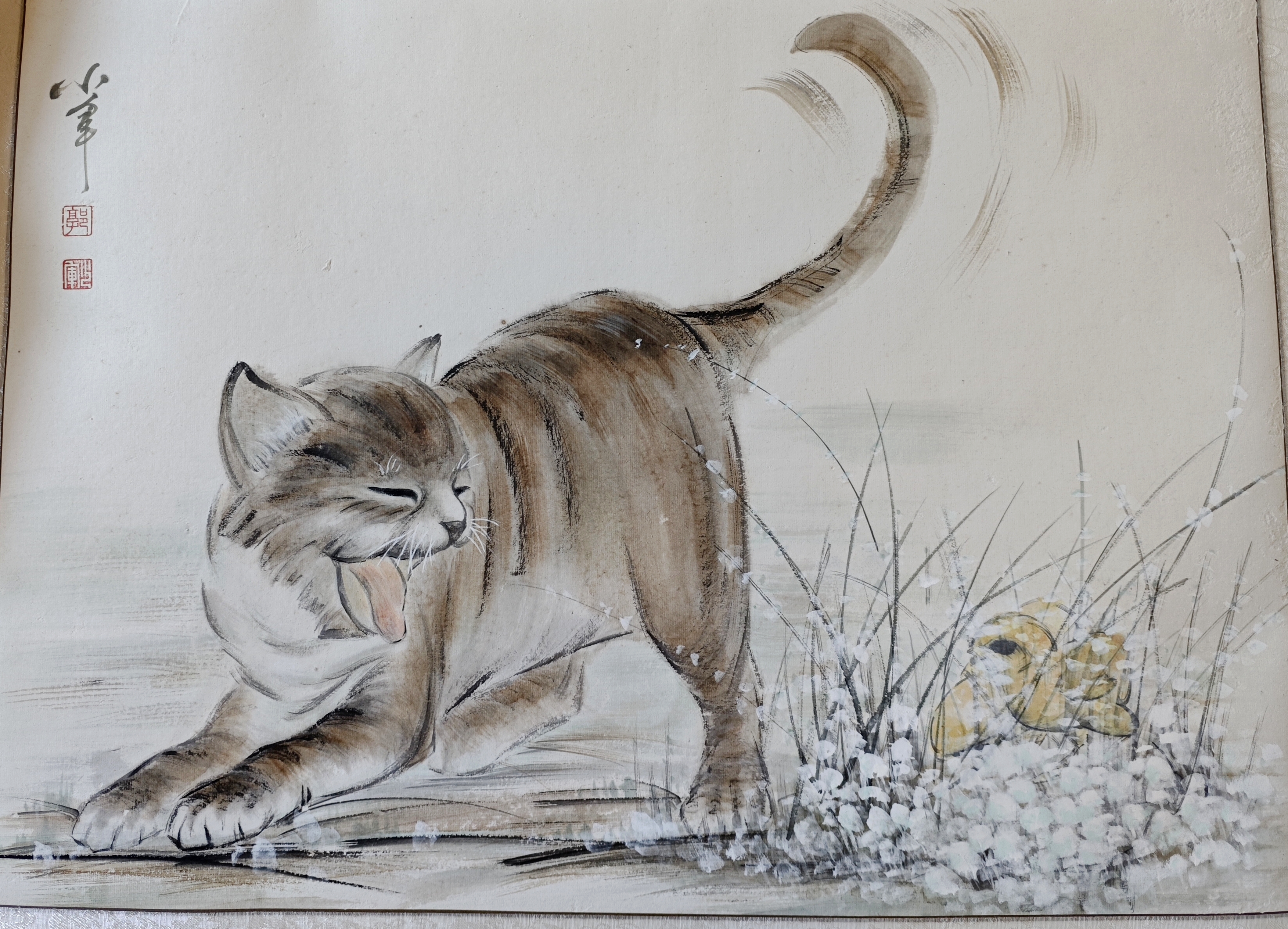 习作-小猫