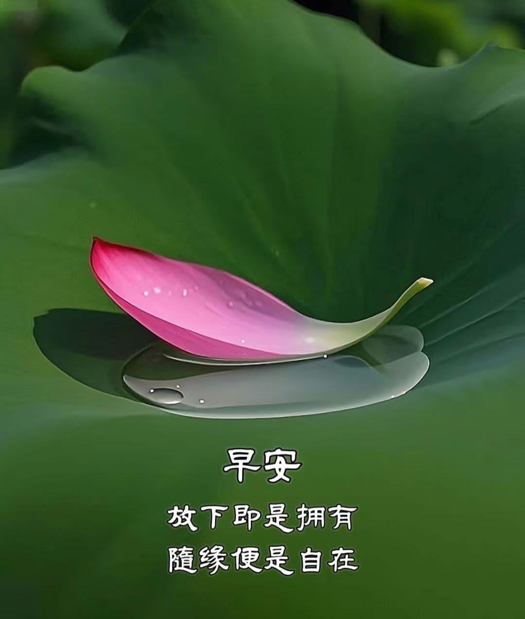 大家早上好！吉祥如意！