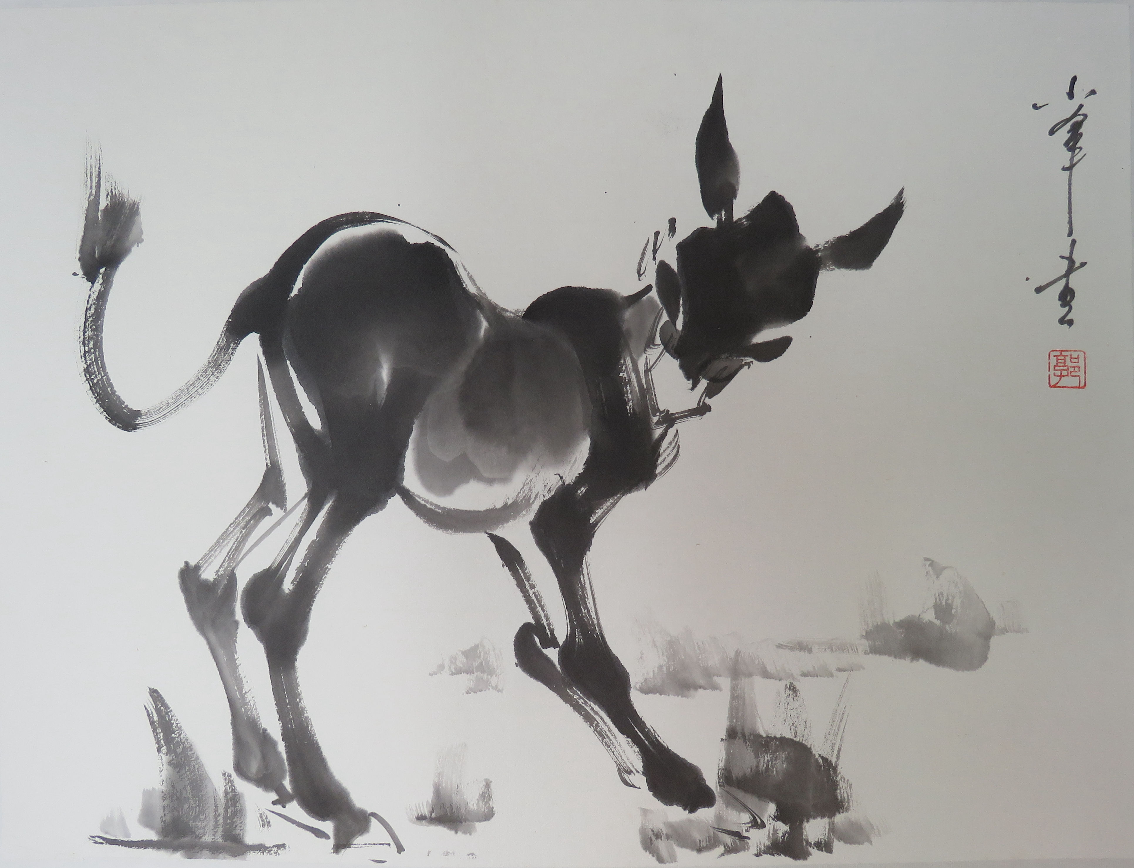 画驴