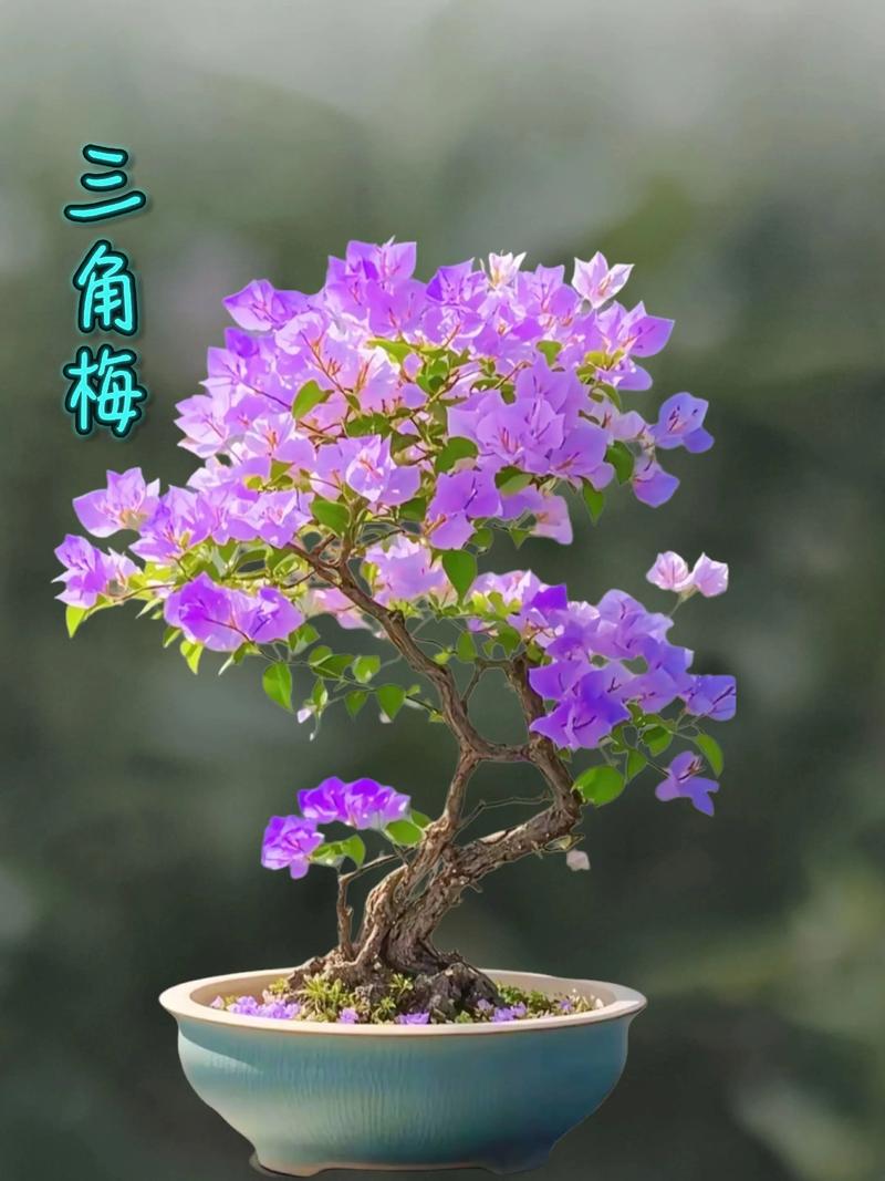 "你今天的努力，是幸运的伏笔；当下的付出，是明日的花开。"
