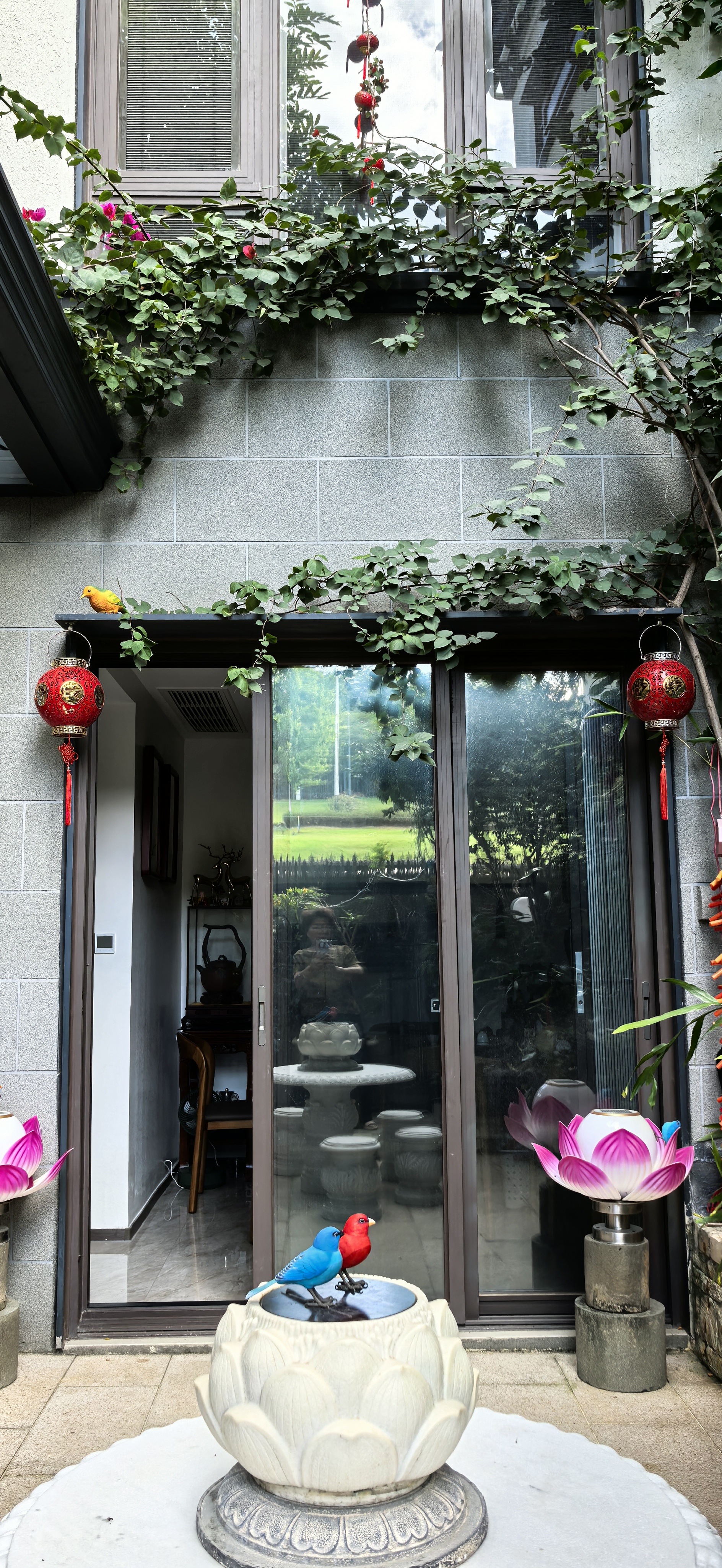 周末快乐！爱世间美好万物！也爱自家的小院！(>﹏<)🌹🧚‍♀️🧚‍♀️🦋