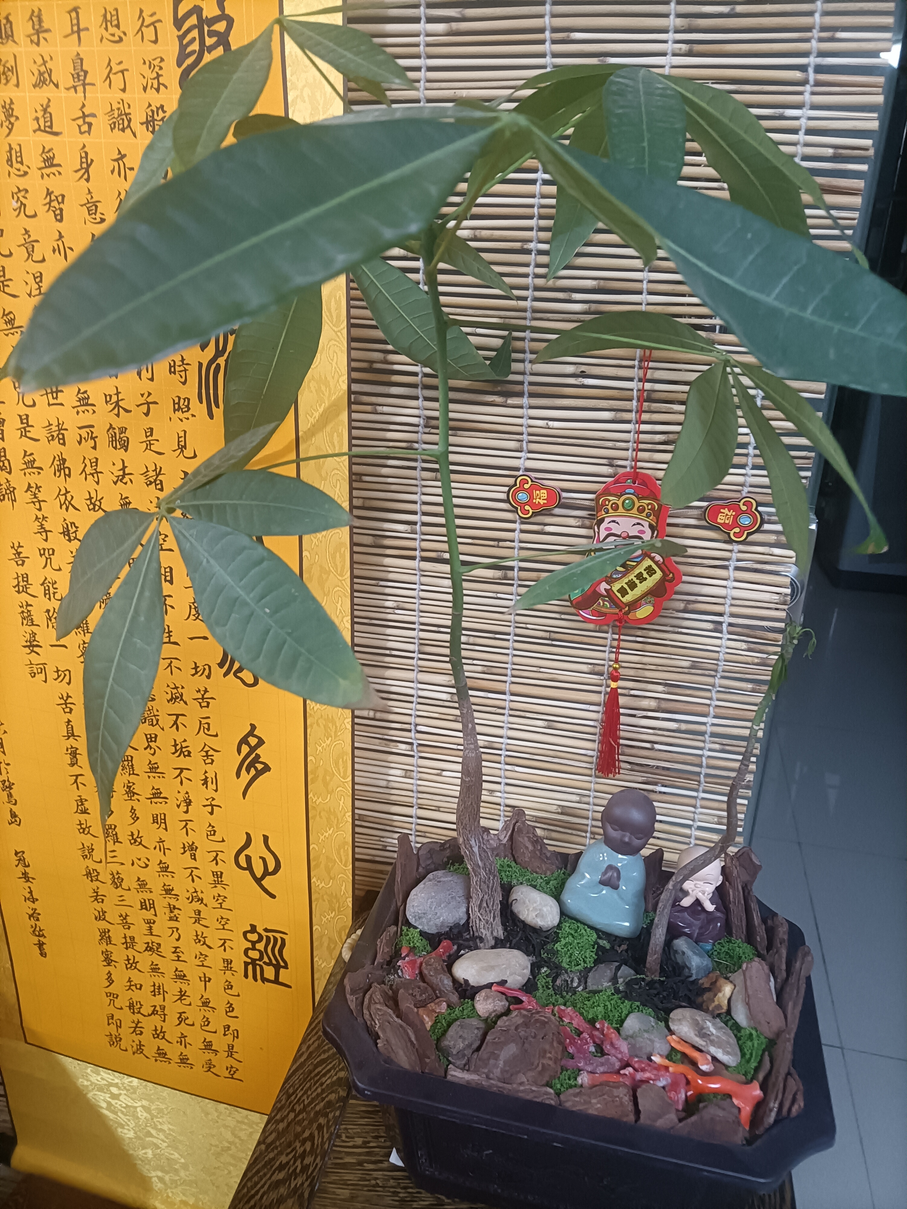 你越相信自己
你的磁场能量就越高
它整个磁场那就是向上发展的
吸引力就越强能量是正向流动的
资源贵人