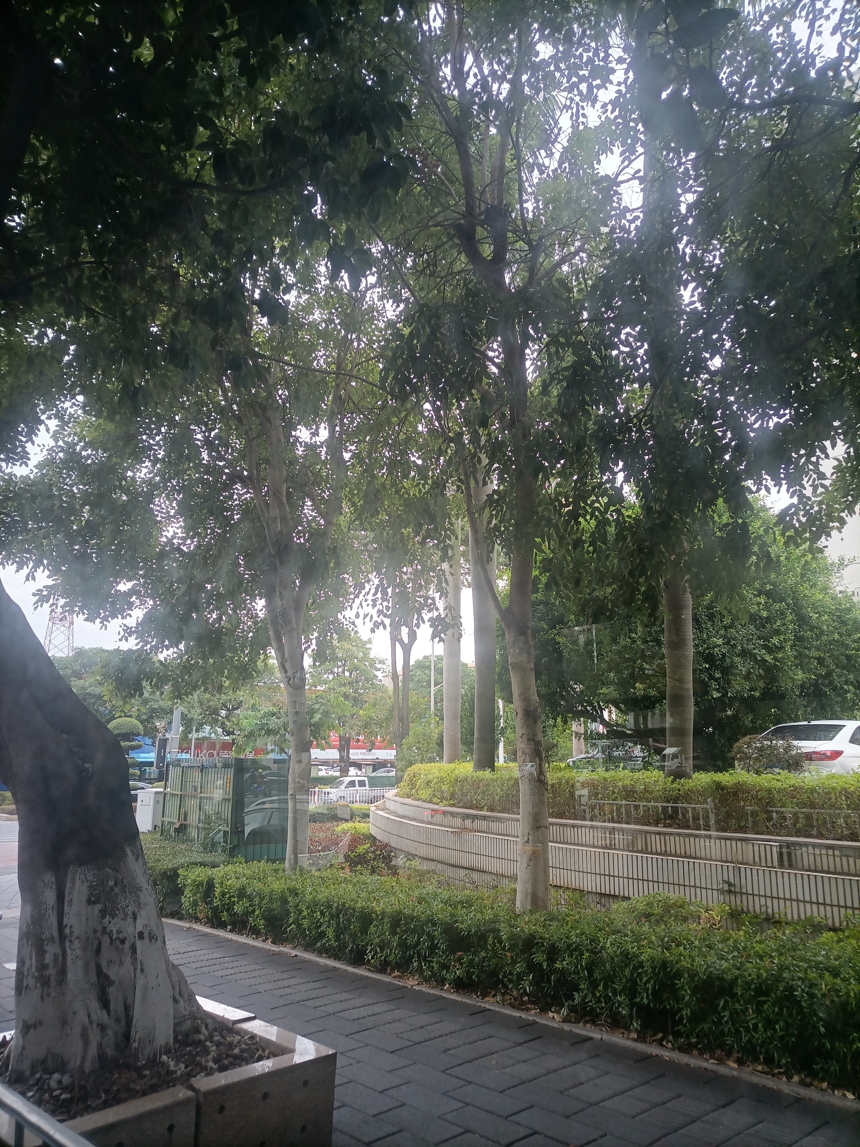 天气冷得猝不及防，少穿一件的后果就是：风一吹凉嗦嗦，现在只想把自己裹成粽子！😂