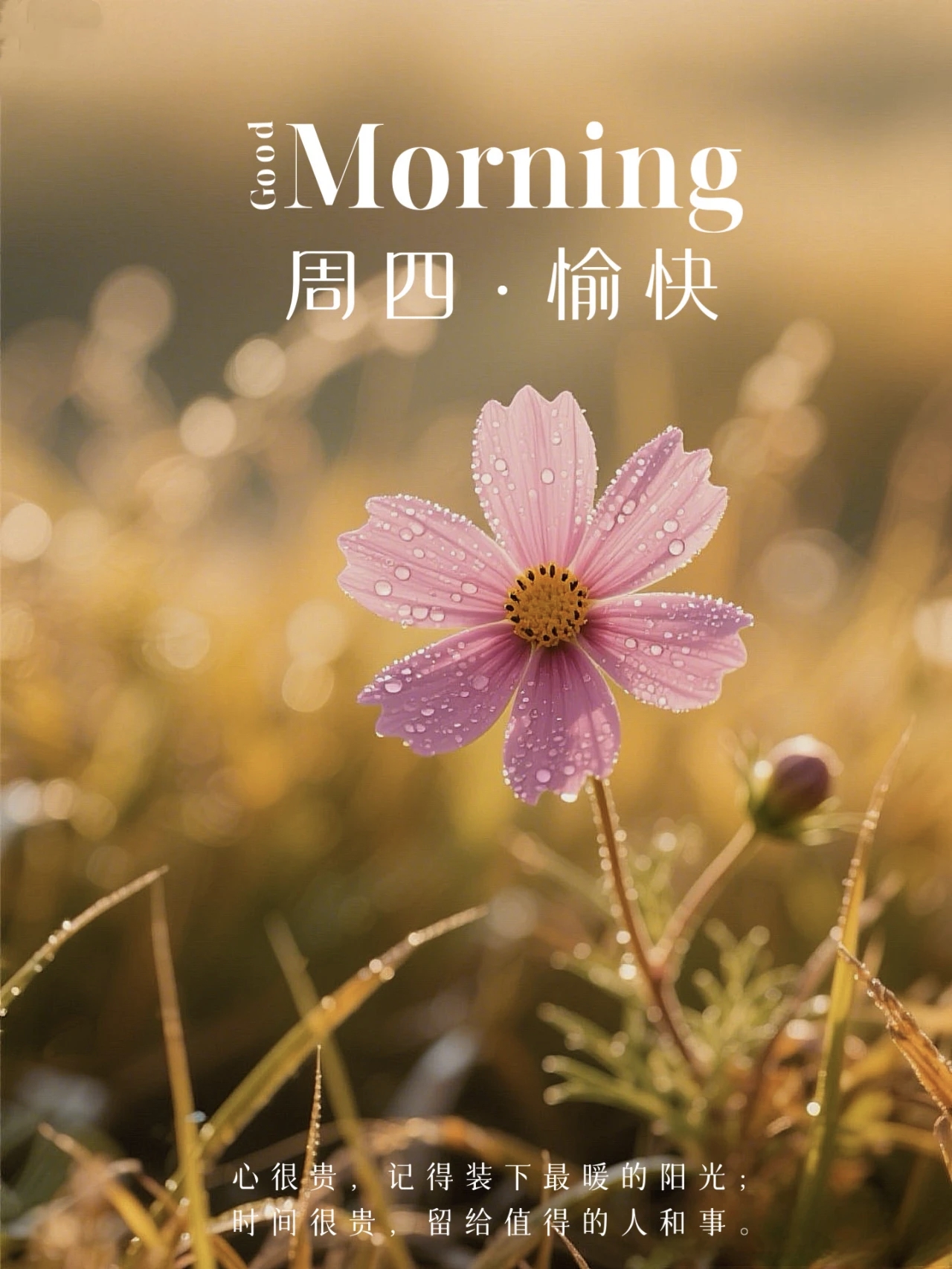 心很贵，记得装下最暖的阳光
时间很贵，留给值得的人和事☀