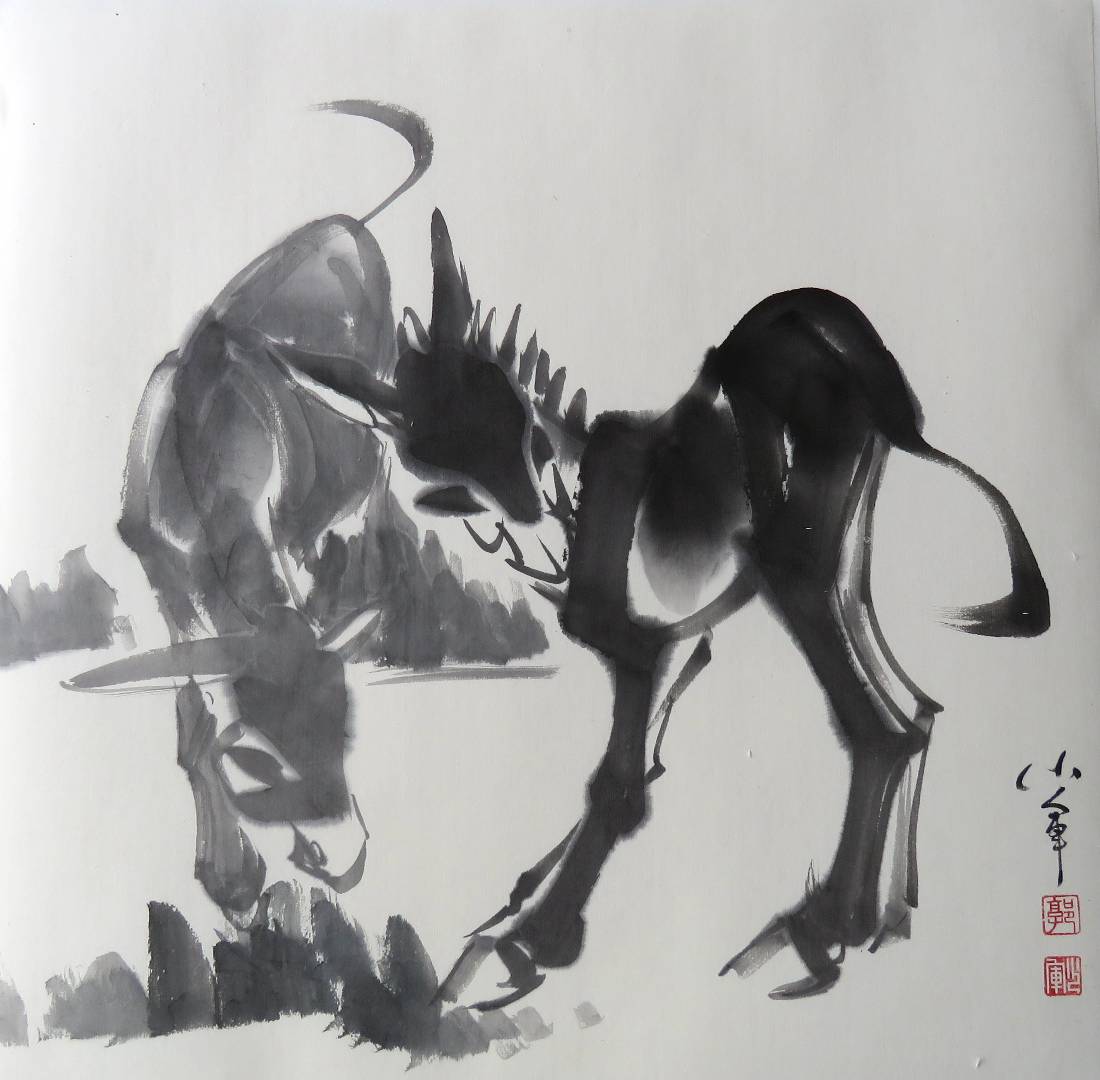 作品-毛驴