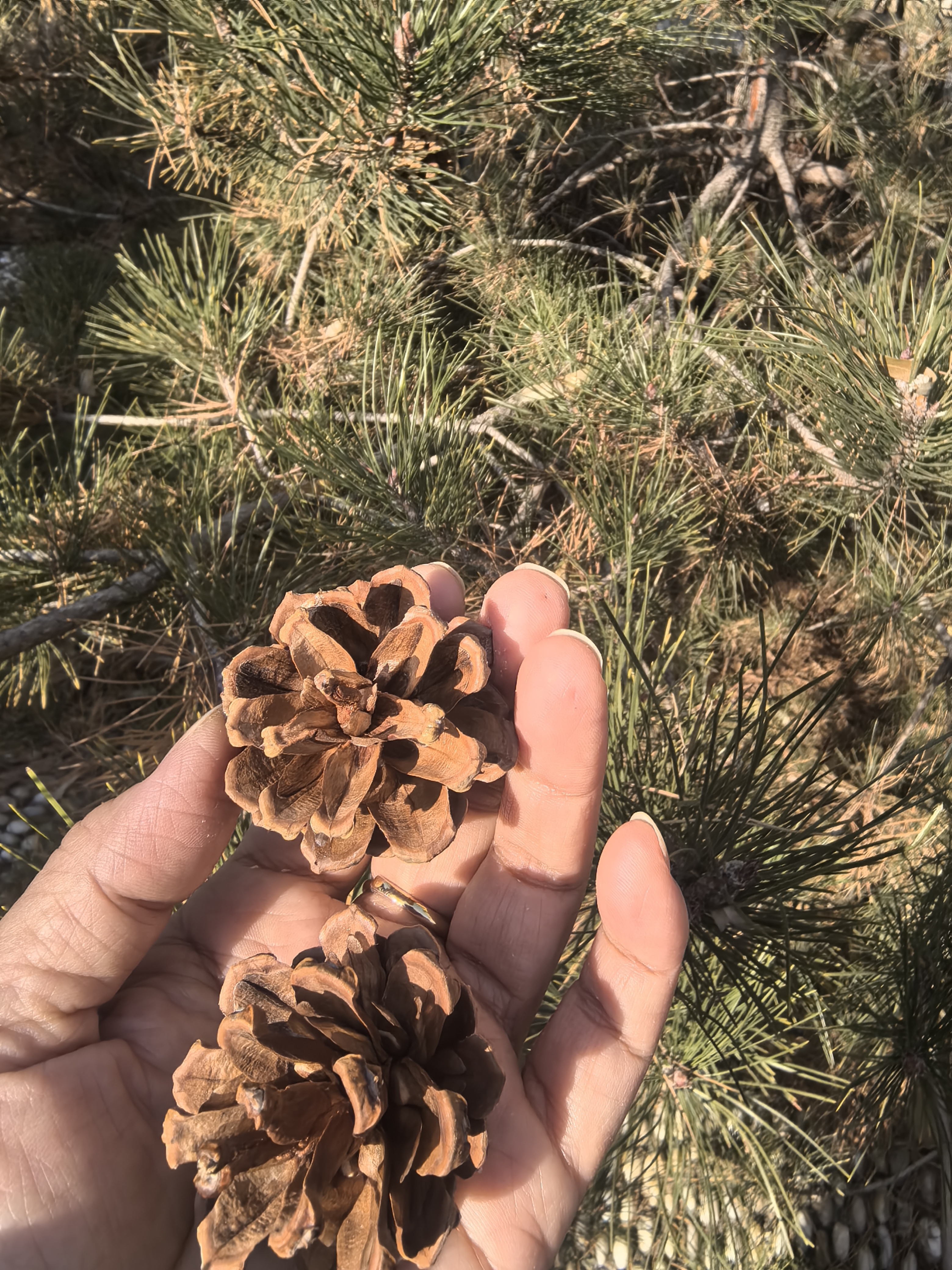 这么近，那么美，周末到河北沧州