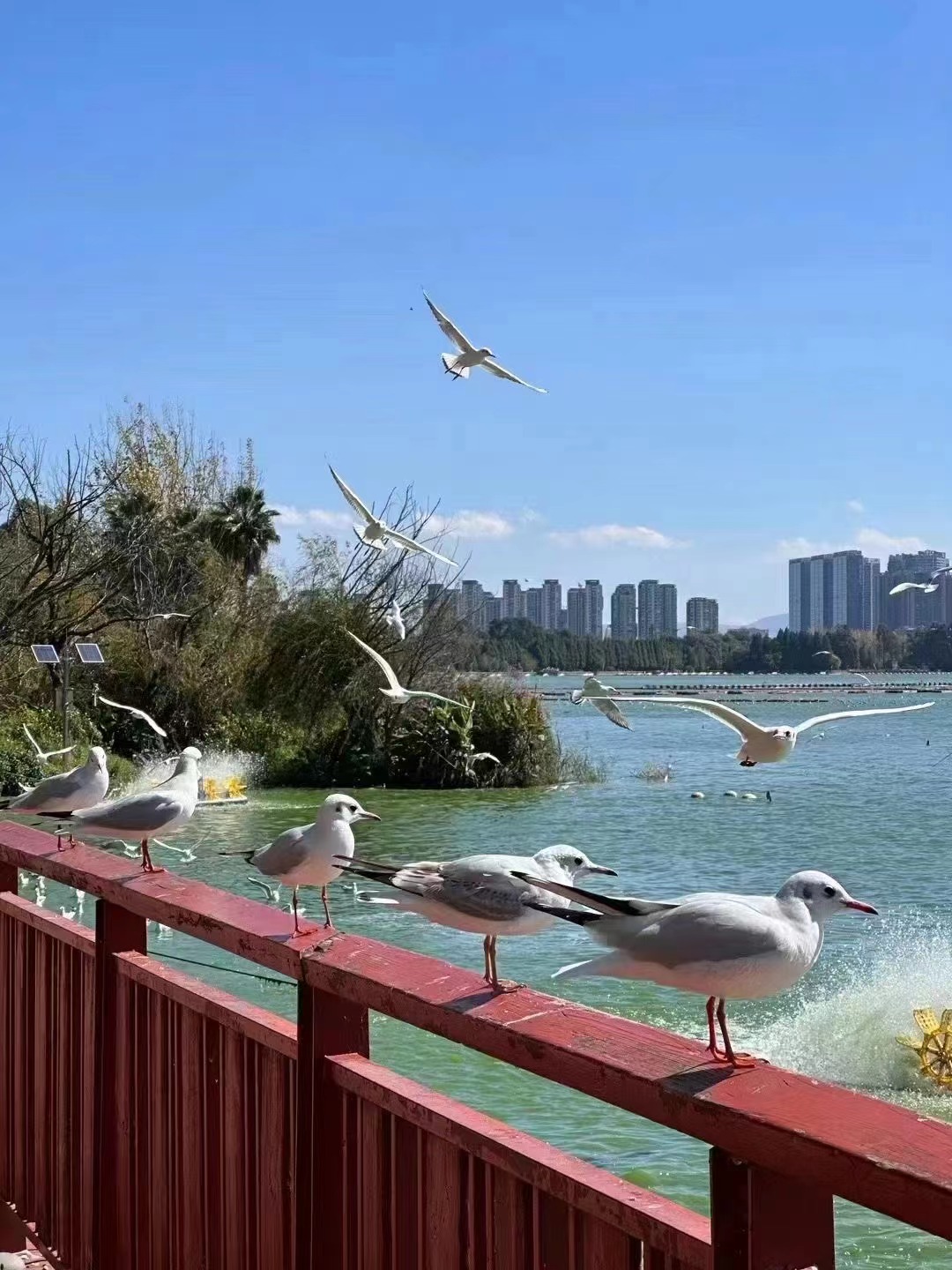 来自深圳小姐姐反馈❤️✨
承接【保险团，直销团，美业团，微商团，金融团，建材团，年会旅游团等，各行各
