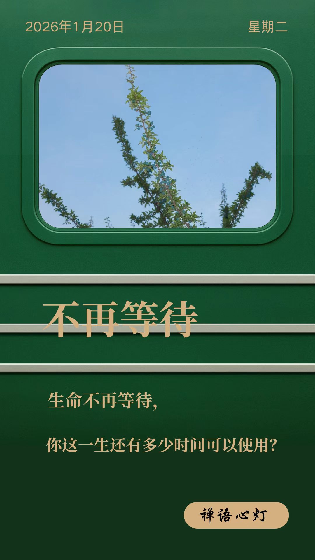 不再等待

古寺有八十岁长老，三伏天仍亲自在院中晒香菇。

住持见状劝道："长老高
