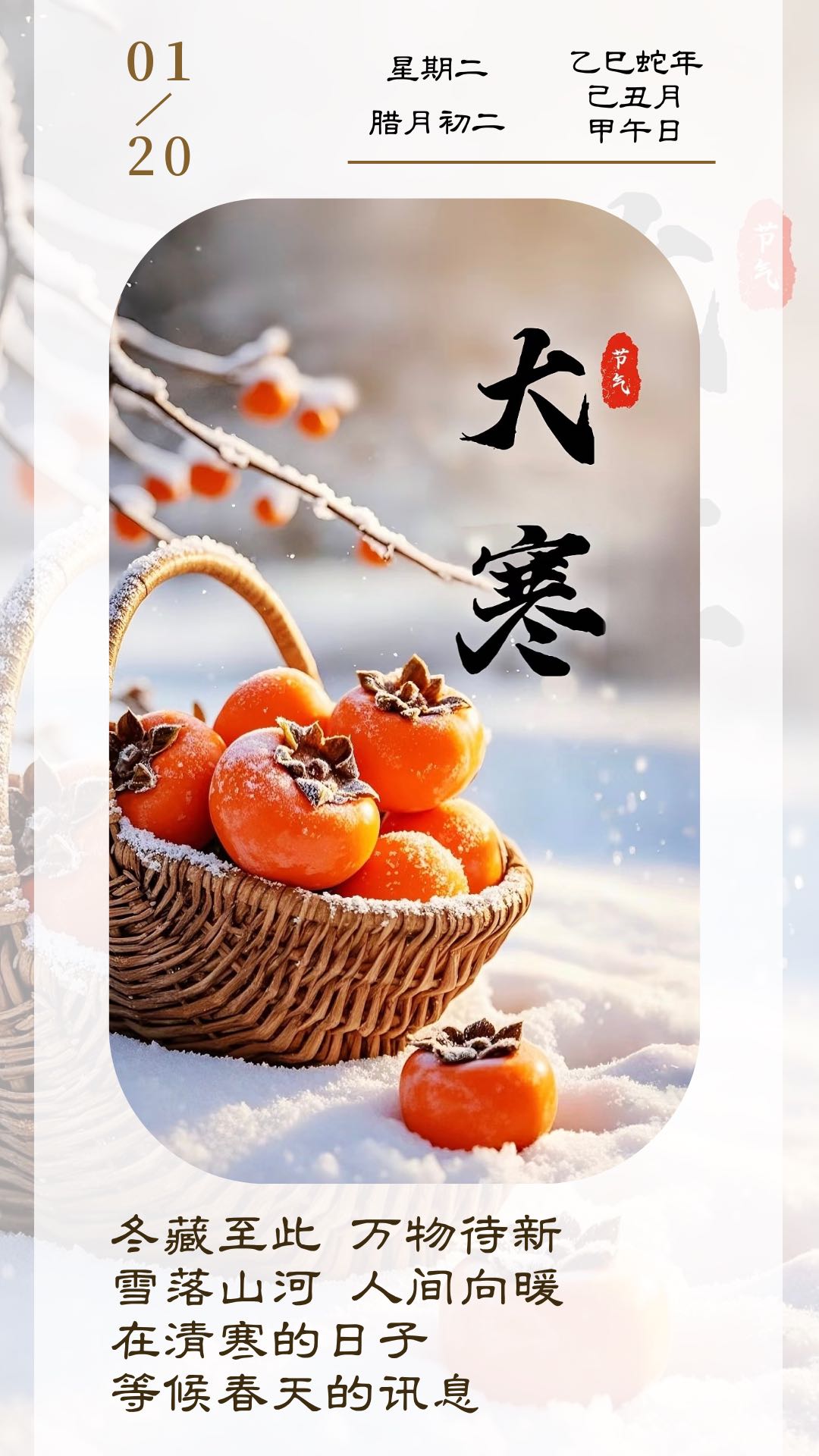 冬藏至此 万物待新雪落山河 人间向暖在清寒的日子等候春天的讯息