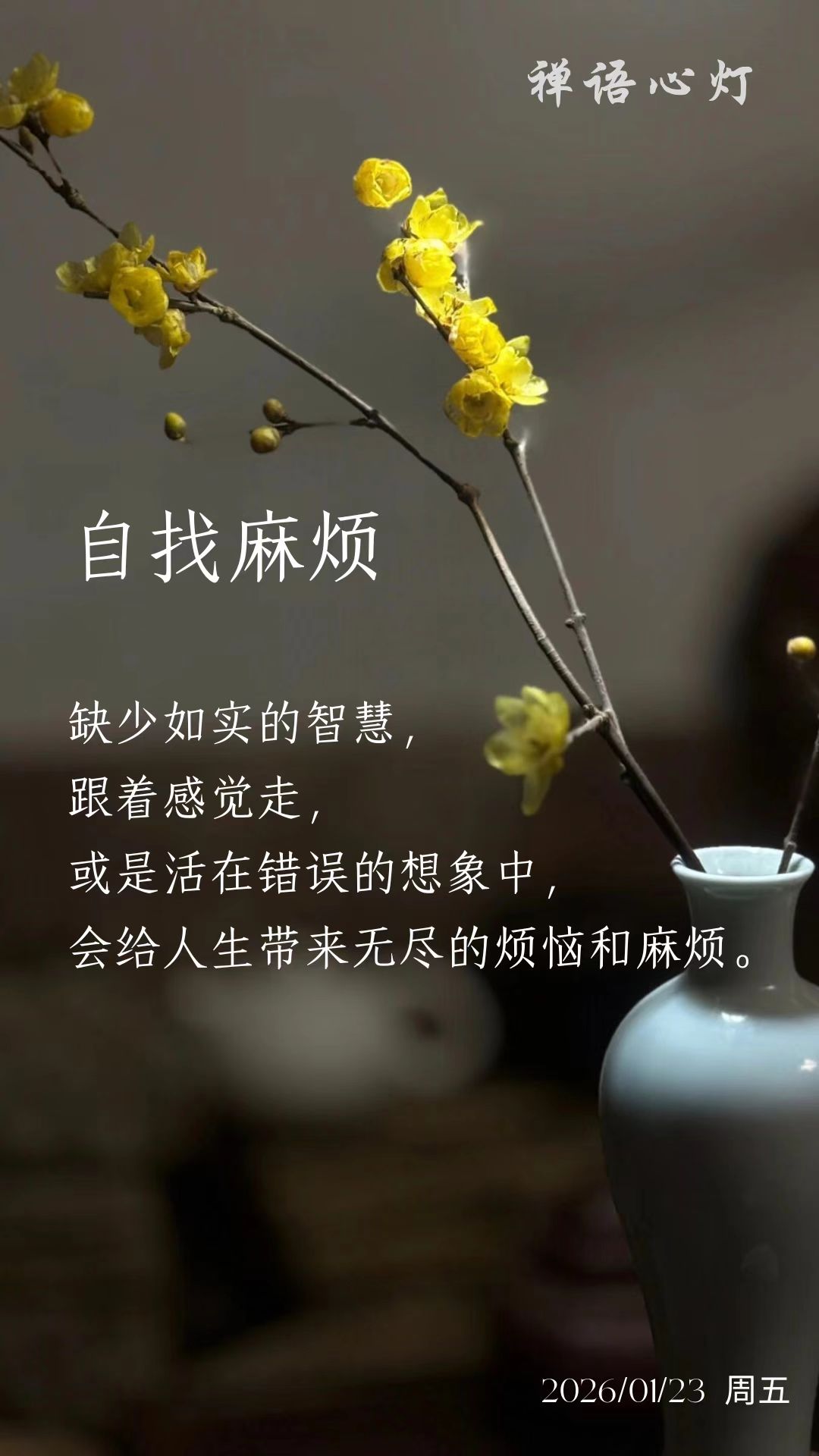 自找麻烦