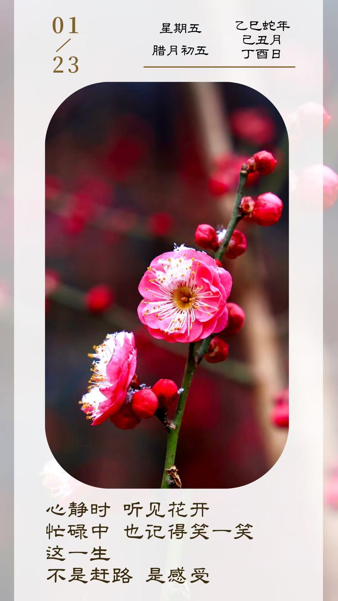 心静时 ，听见花开。
忙碌中 。也记得笑一笑。这一生
不是赶路， 是感受。